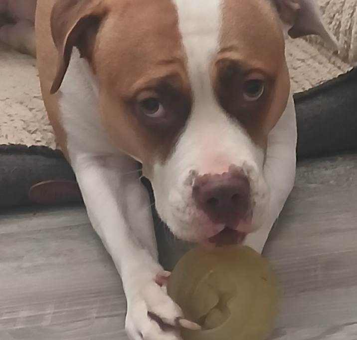 Photo of Lucy