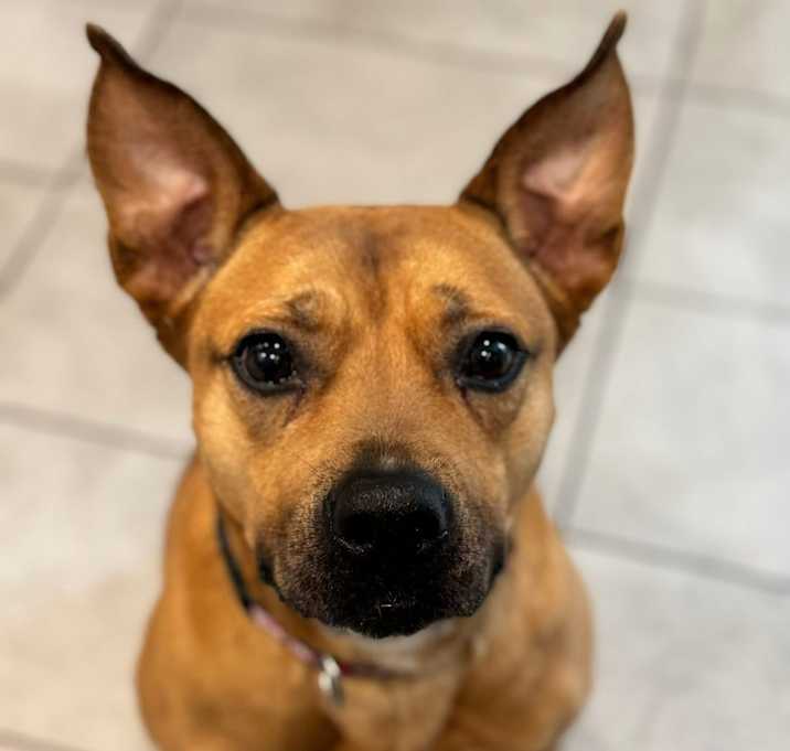 Photo of Coco