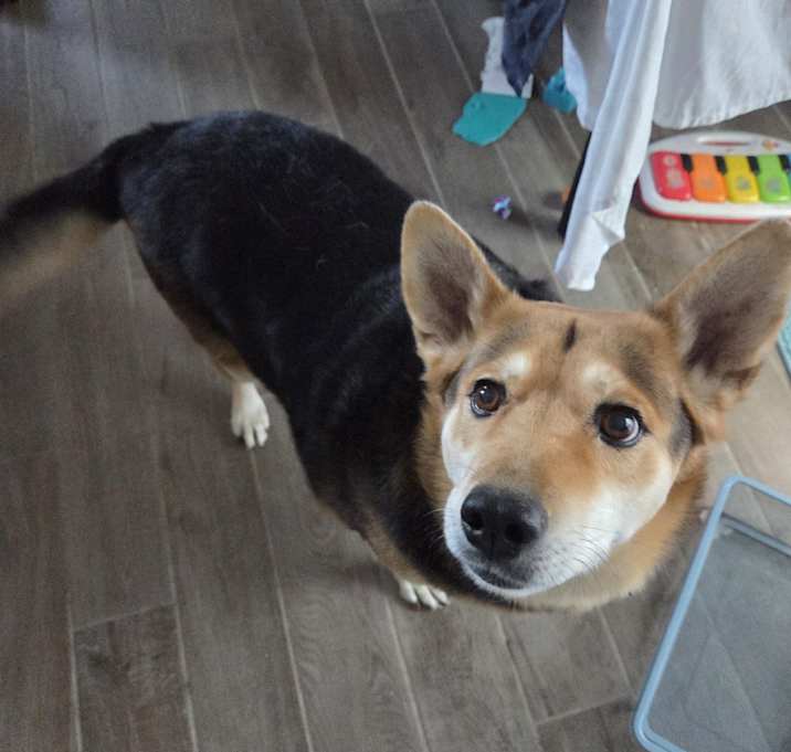 Photo of Millie