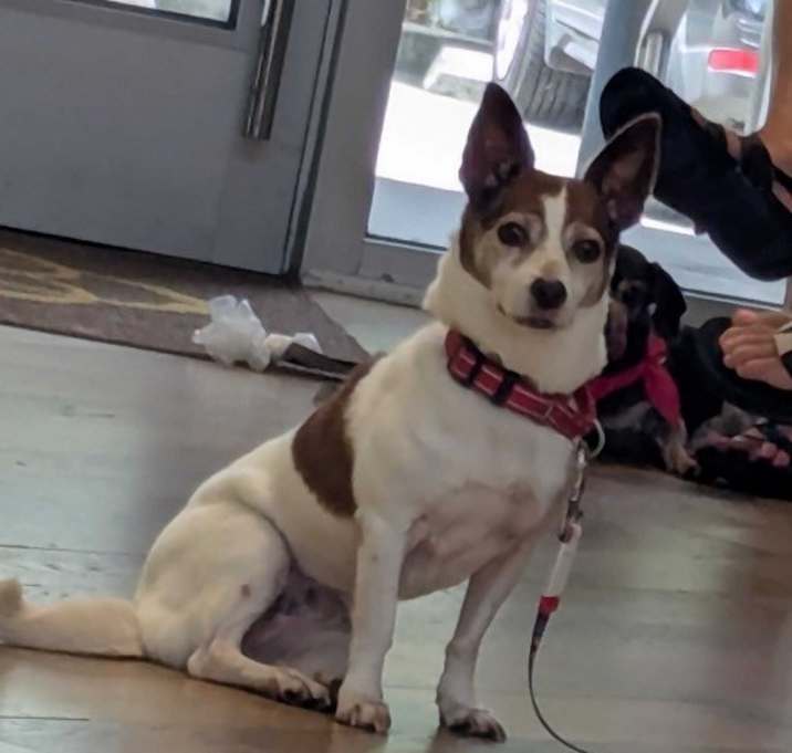 Photo of Rosita