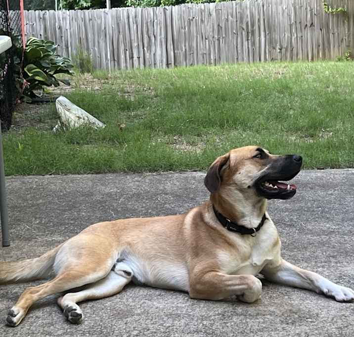 Photo of Max