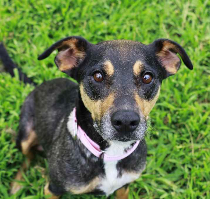 Photo of SASSY