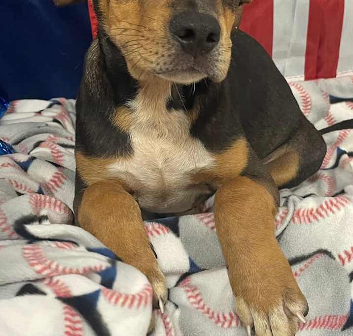 Photo of *TUPPER*