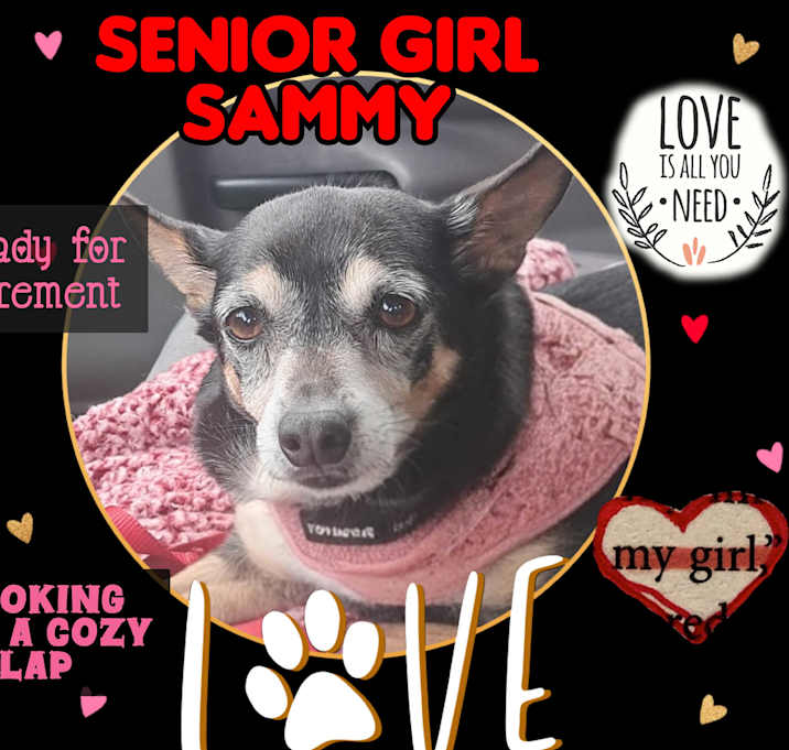 Photo of Sammy