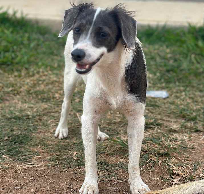 Photo of Belle