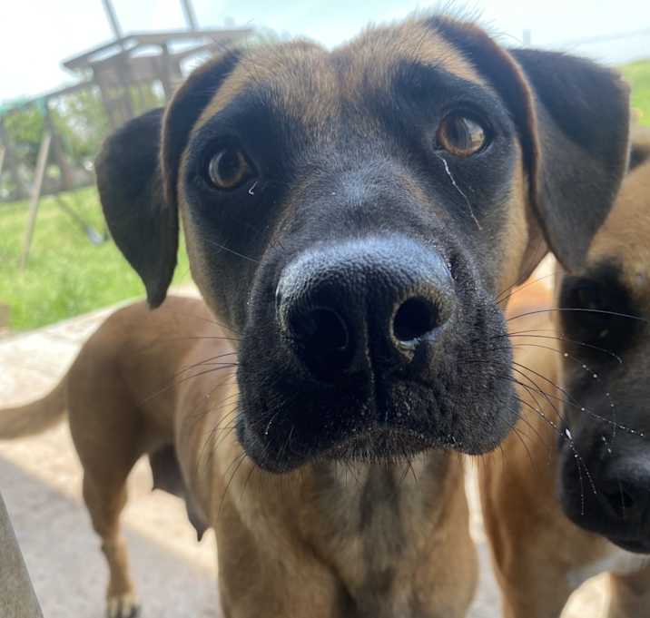 Photo of Delilah