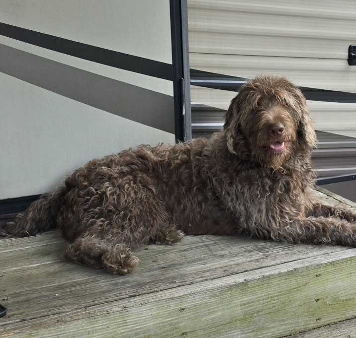 Photo of Gus