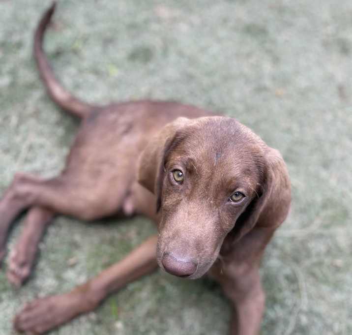 Photo of Forrest