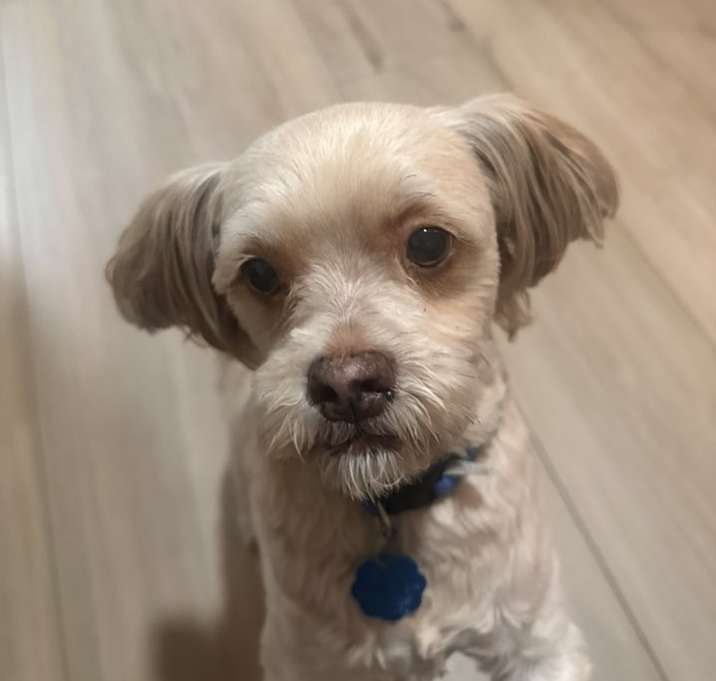 Photo of Timmy