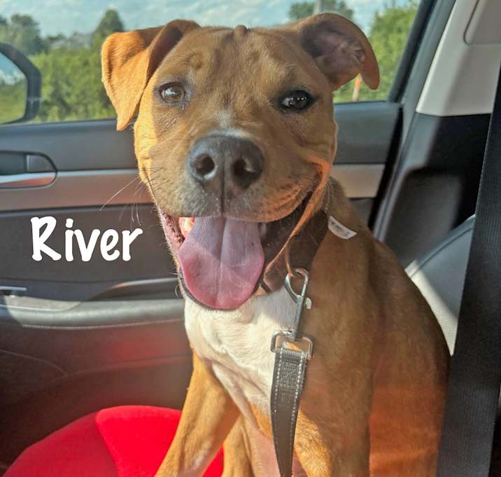 Photo of River