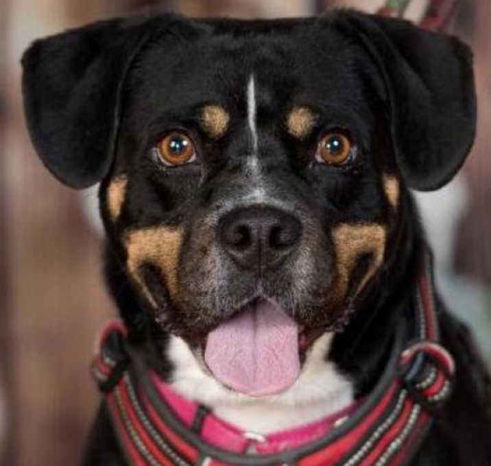 Photo of Mason
