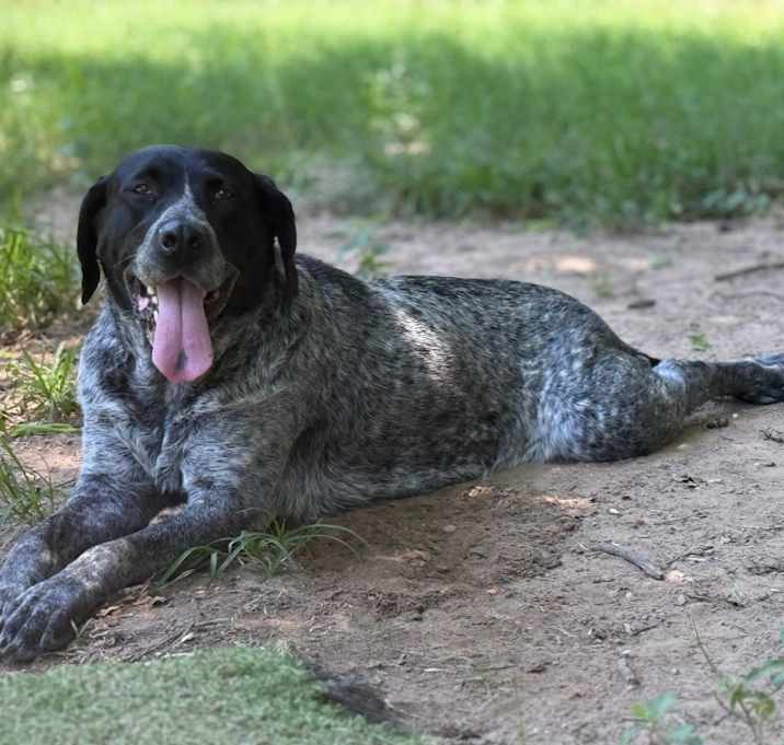 Photo of Darby