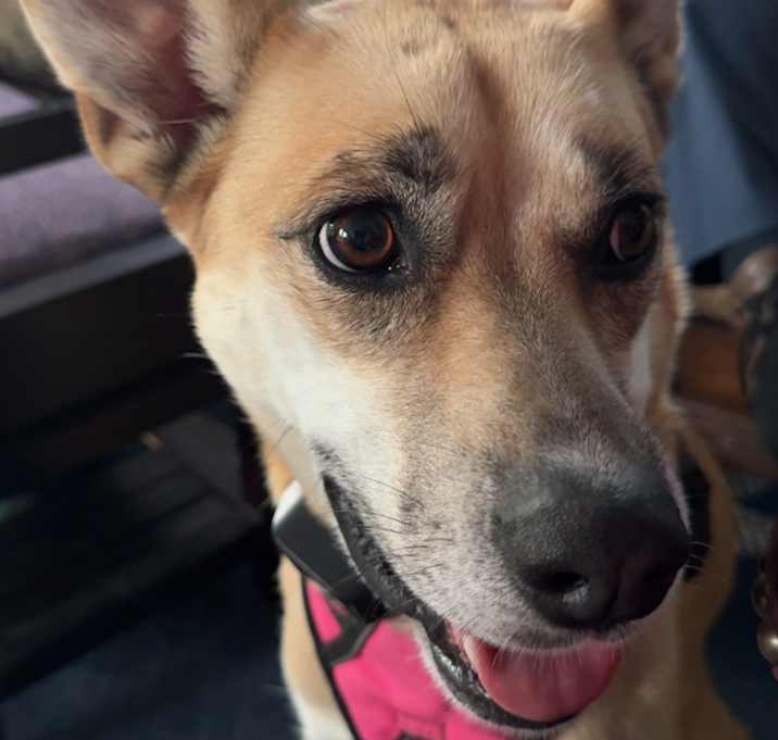 Photo of Sammie