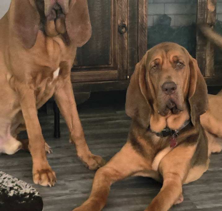 Photo of Frank and Beans