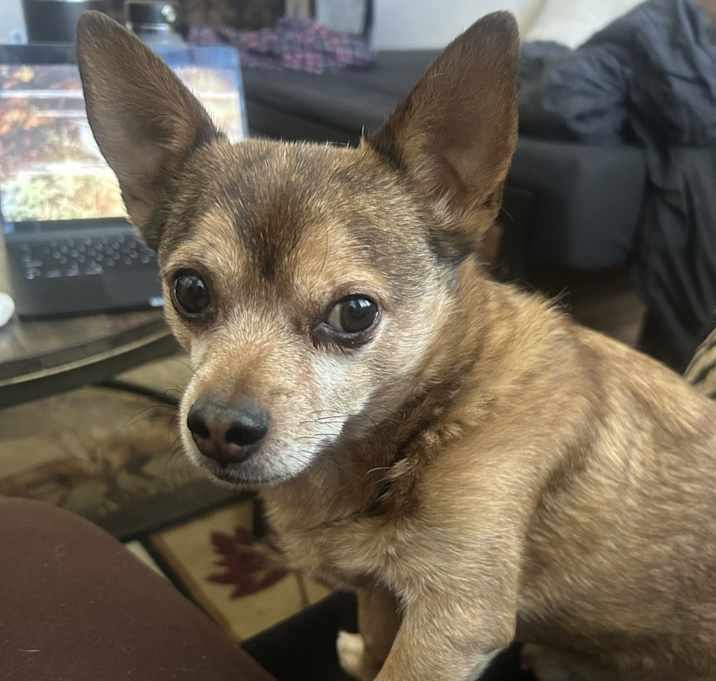 Photo of Toast