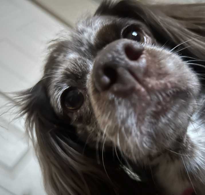 Photo of Kobe