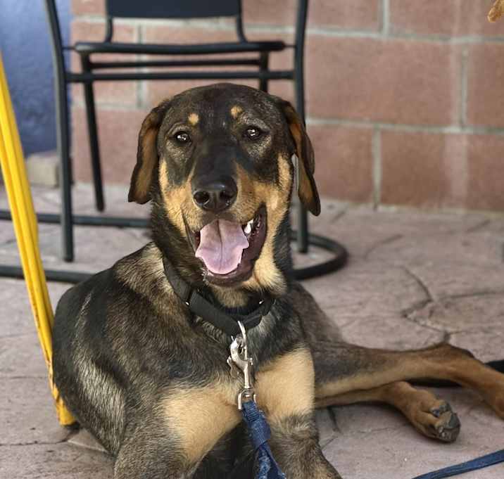 Photo of Tito