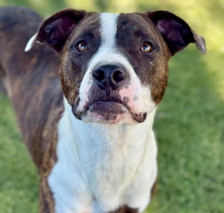 Photo of Quint