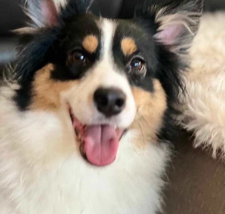Photo of Daphne