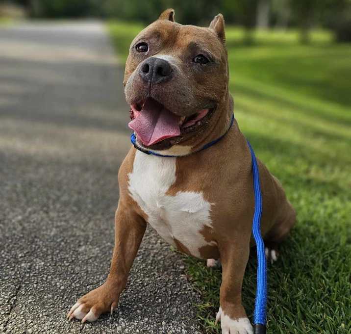 Photo of Maximus