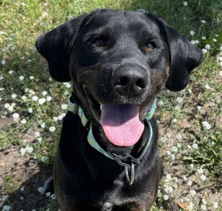 Photo of Barney