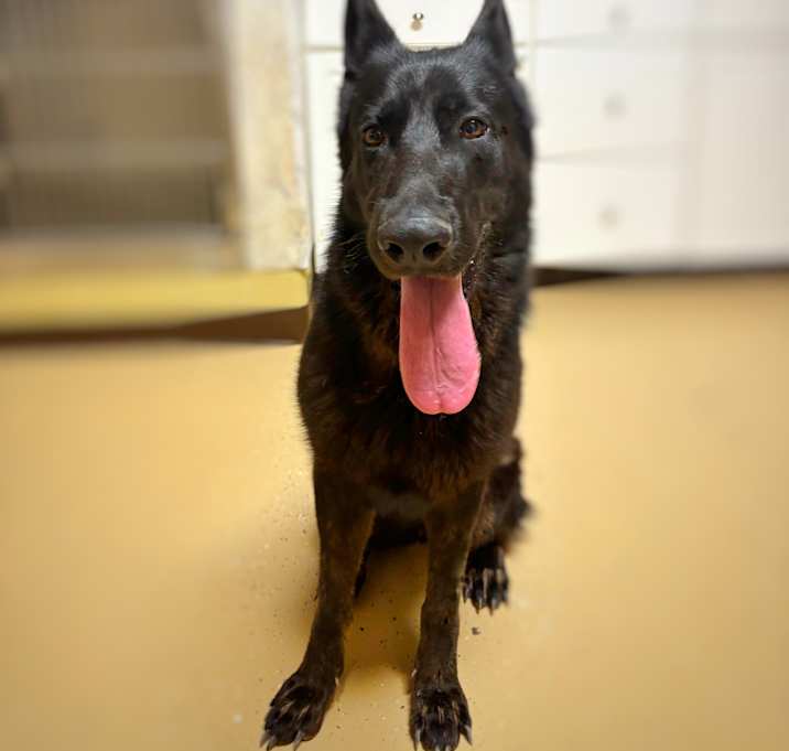 Photo of Kira