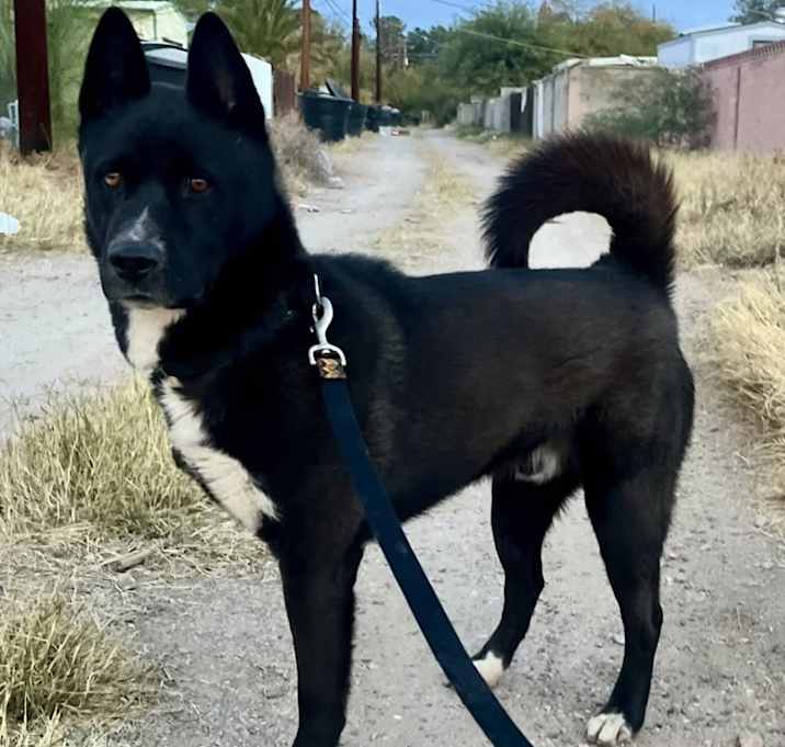 Photo of Simon