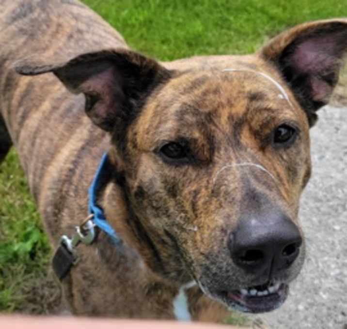 Photo of Burt