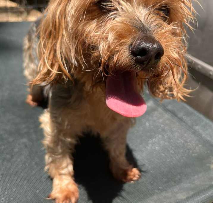 Photo of Chloe