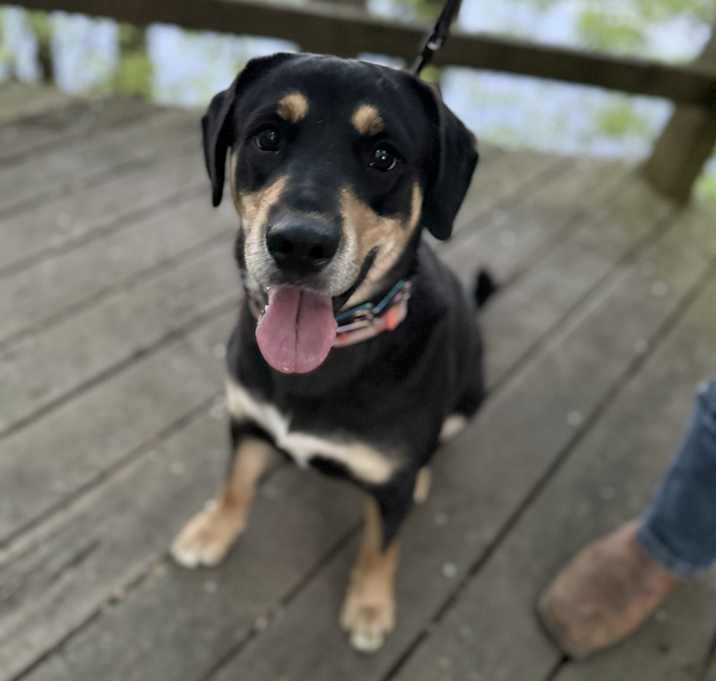 Photo of Oakley