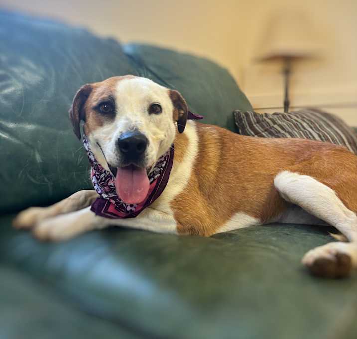 Photo of Chloe