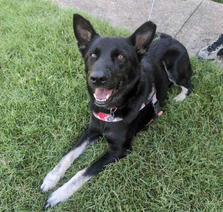 Photo of Honey 