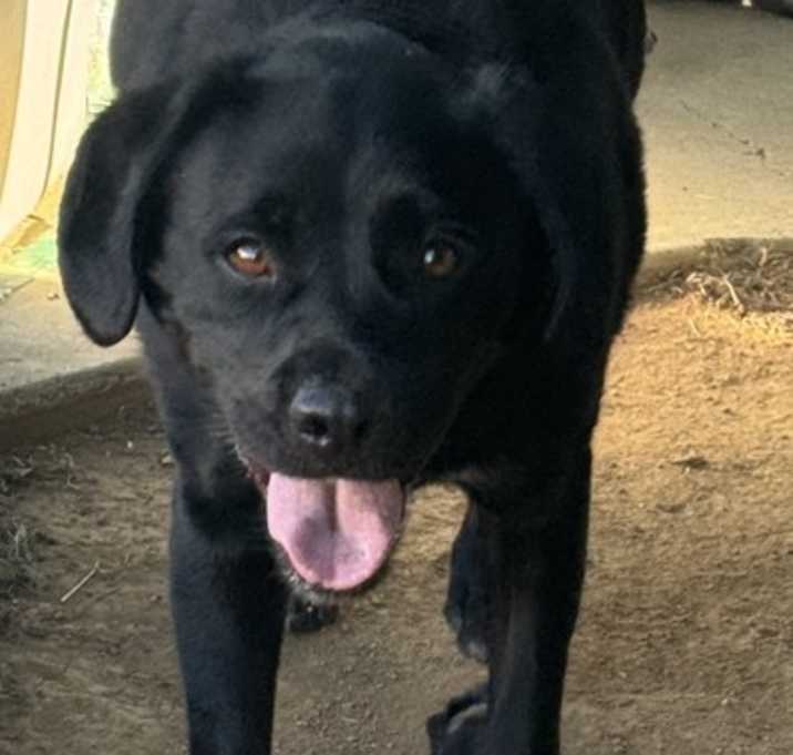 Photo of MURPHY
