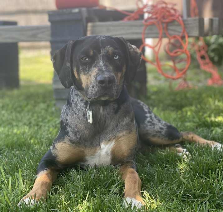 Photo of JOJO