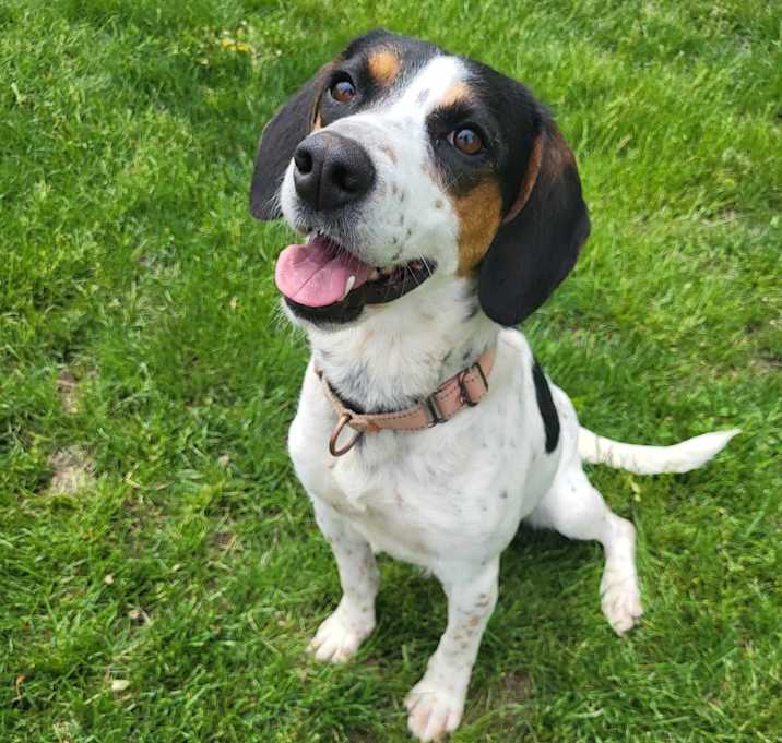 Photo of Bagel