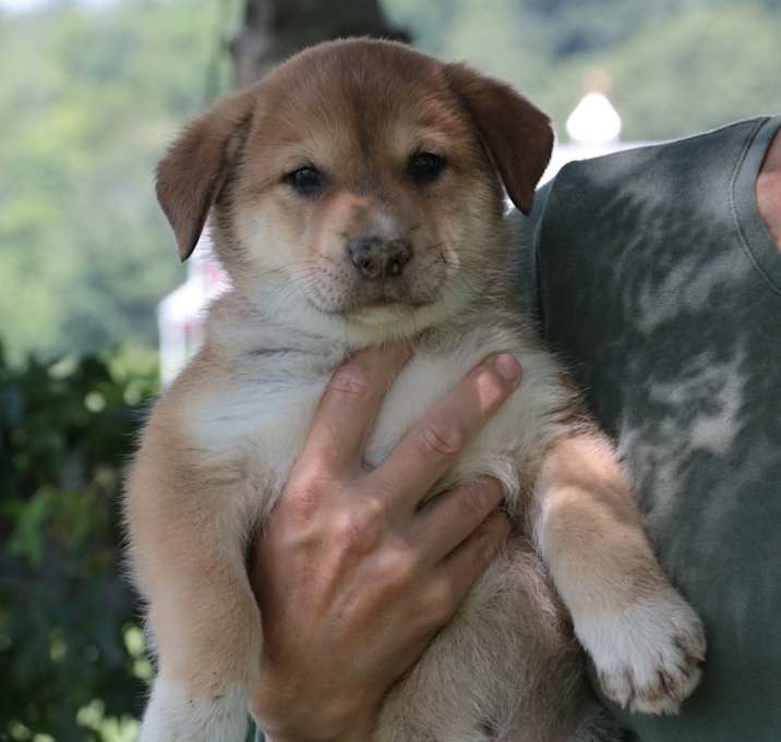 Photo of Ginny