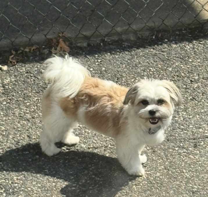 Photo of Sadie