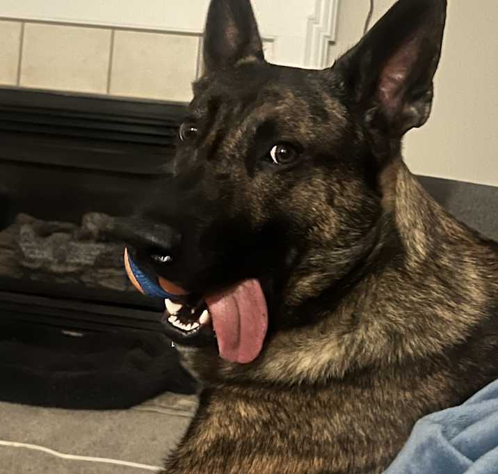 Photo of Odin
