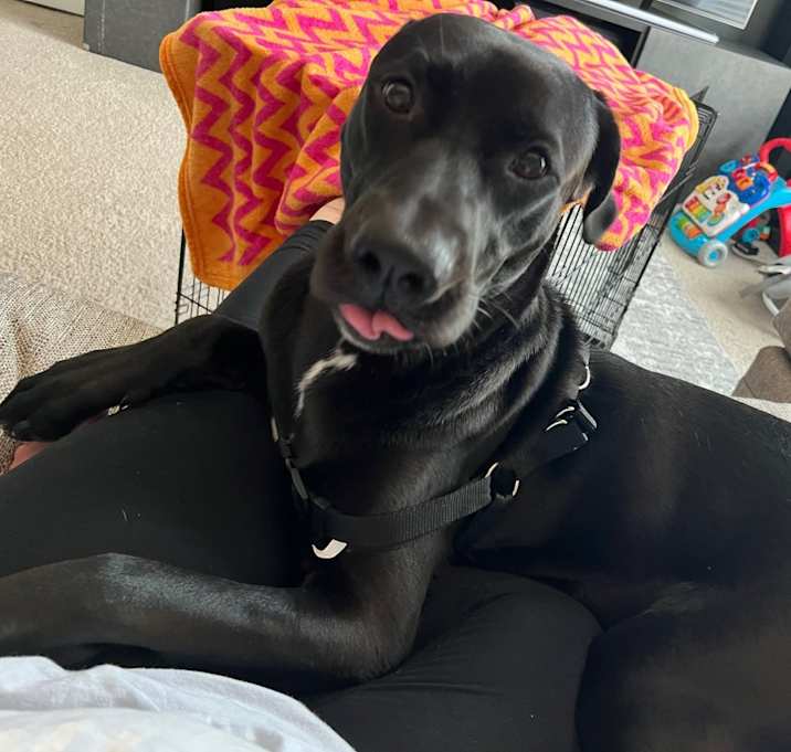 Photo of Max
