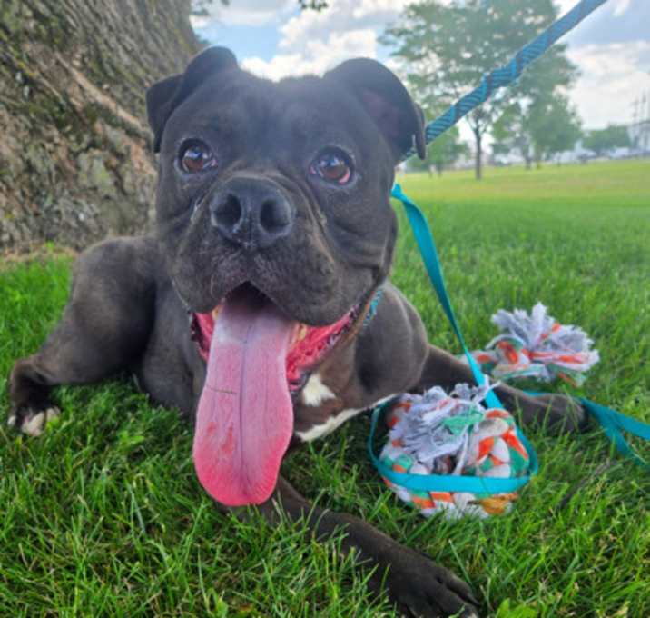 Photo of Spike