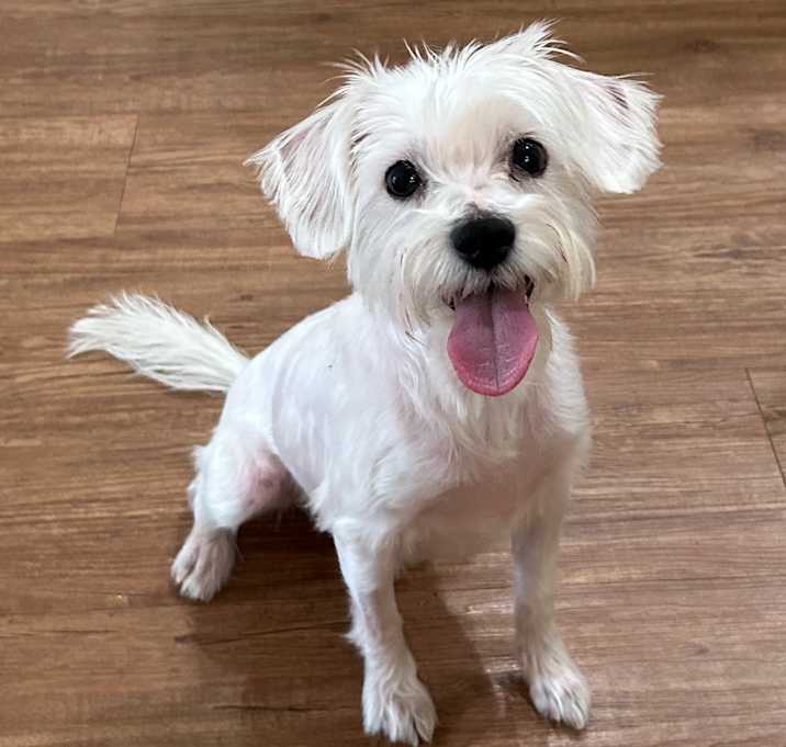Photo of Sugar Baby
