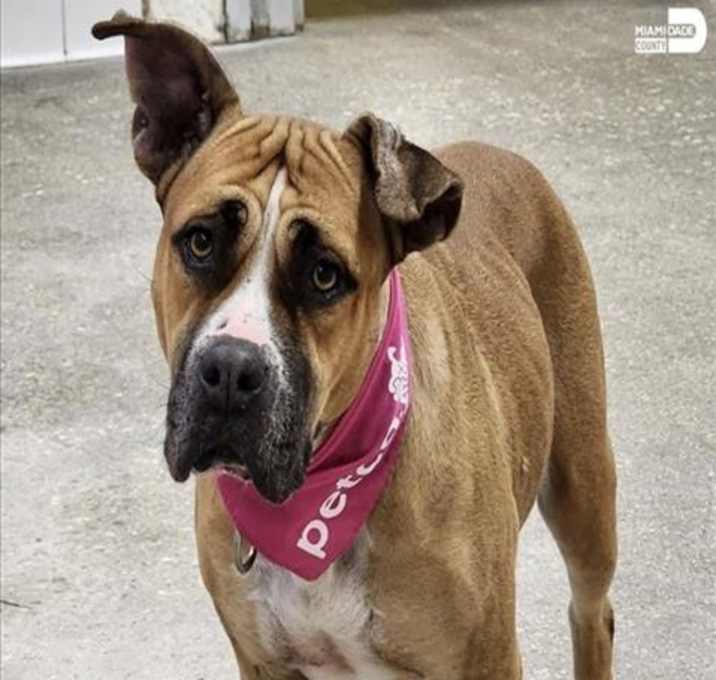 Photo of LUCY