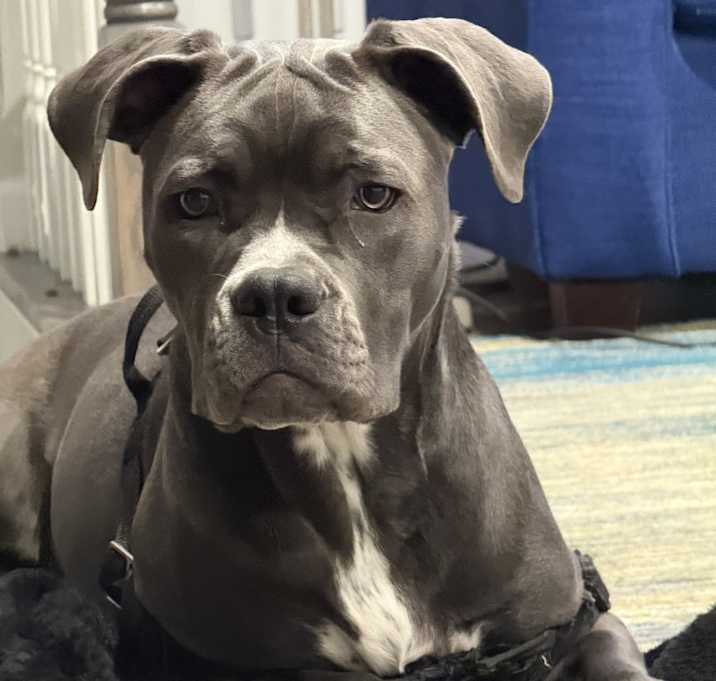 Photo of Ice