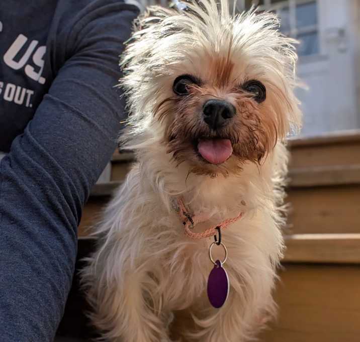 Photo of Simone