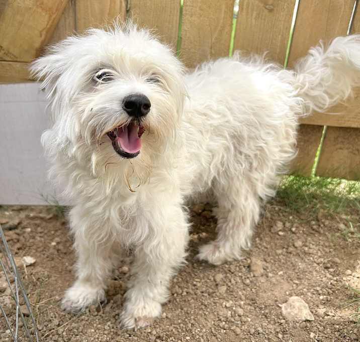 Photo of RUBY