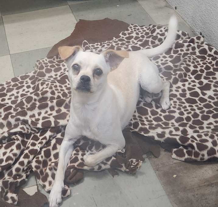 Photo of Mandy