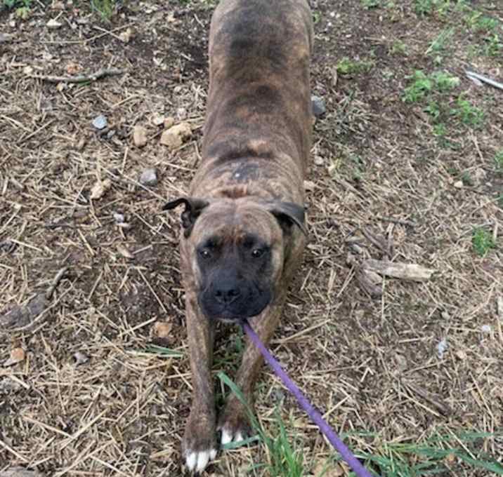 Photo of Ruby