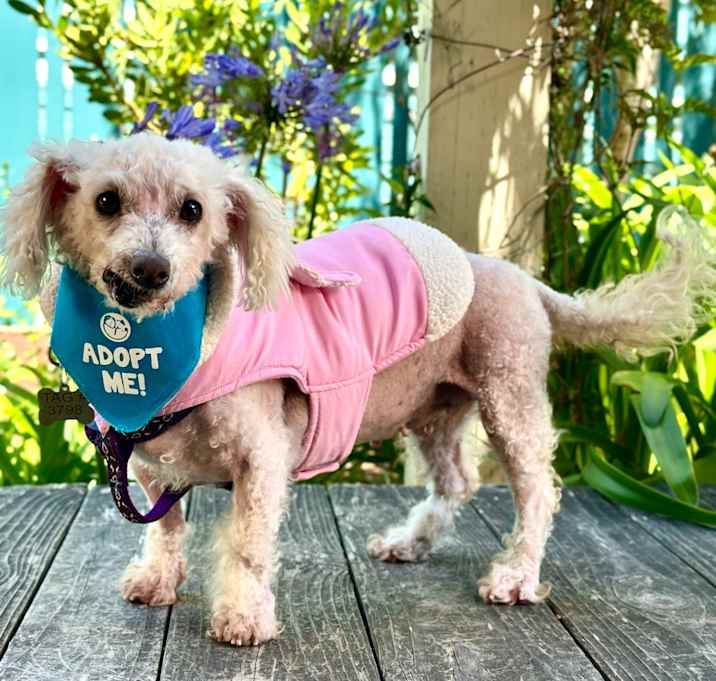 Photo of Mimi