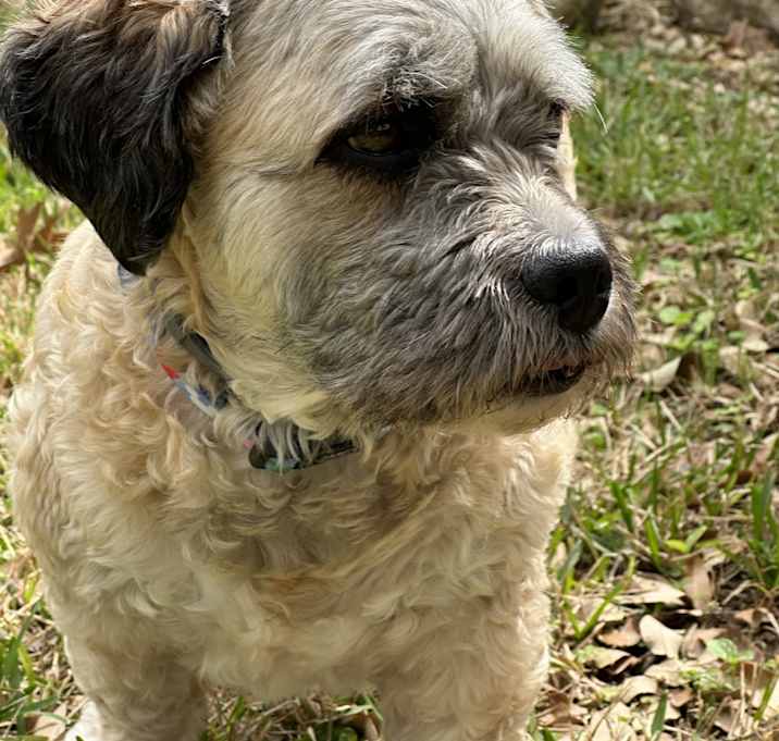 Photo of Jax