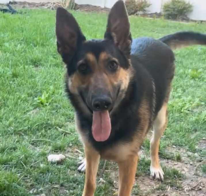 Photo of Zena